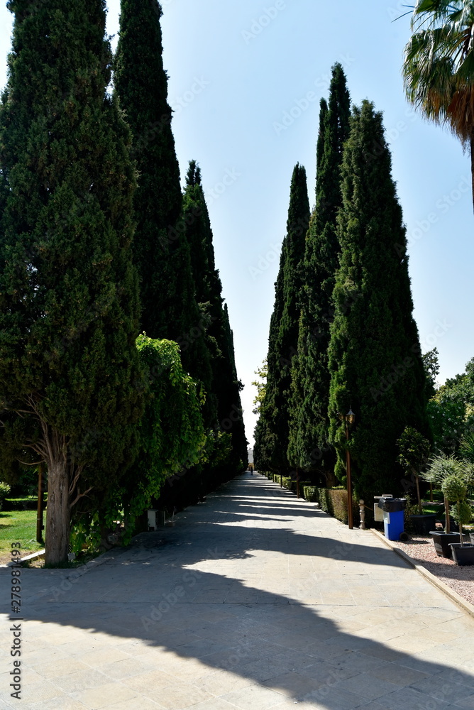 The view of Eram Garden(Bāgh-e Eram), Shiraz, Iran