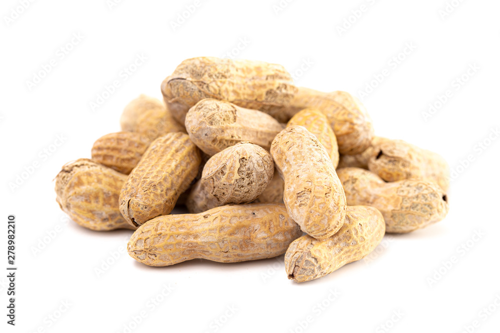 Raw In Shell Peanuts on a White Background Raw In Shell Peanuts on a White Background