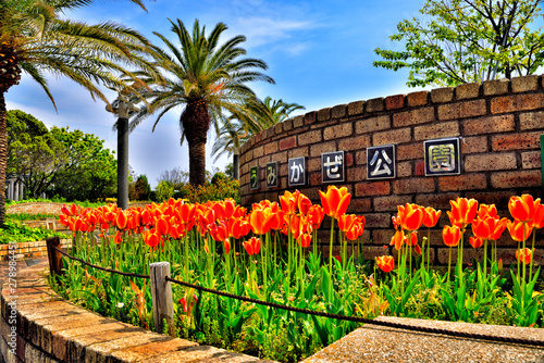 Flower bed of Yokosuka Umikaze Park. photo