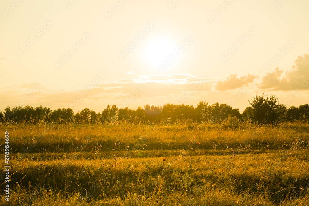 Obraz premium sunset over field