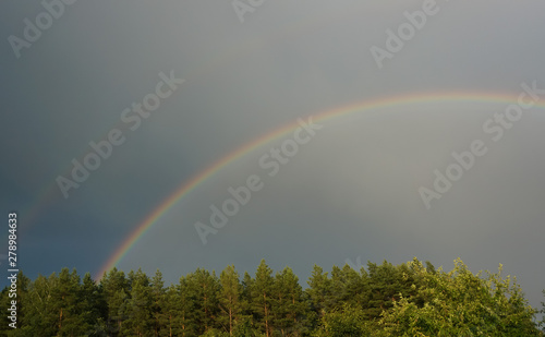 Fototapeta Naklejka Na Ścianę i Meble -  rainbow over the forest