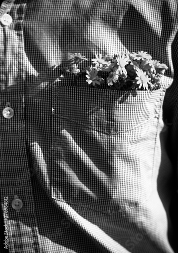 ferno white photo, flowers in shirt pocket photo