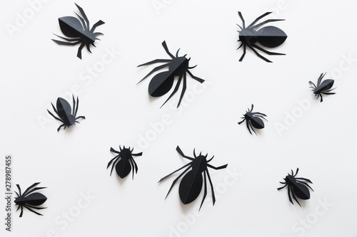 Spiders on white background. Halloween holiday concept. Top view, flat lay