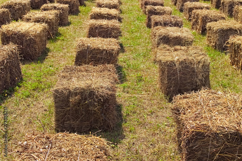 Hay stack cubes in field. Concept of eco seats for people during festival. Summer concept. Berry Festival Brusviana. Kostivtsi, Ukraine
