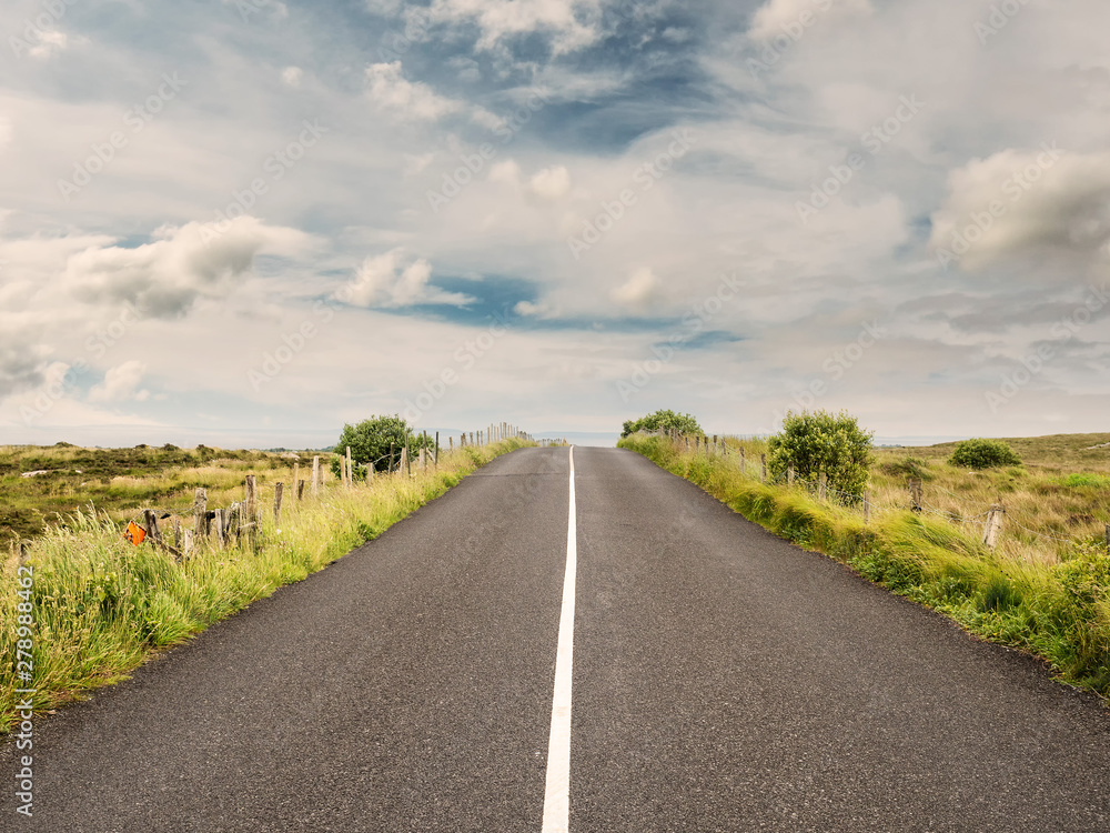 Asphalt road goes to horizon line, Colorful cloudy sky. Green fields on each side.