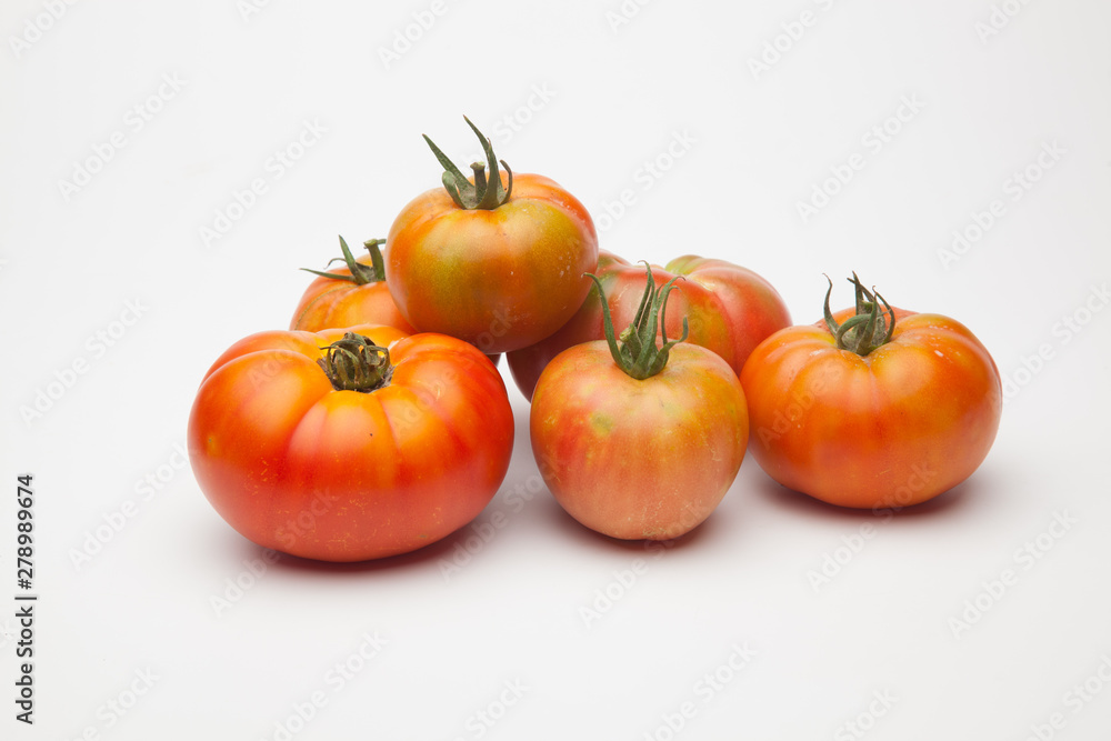 Tomates ecológicos recién cogidos del huerto para ser llevado a la mesa para ser comido ya sea cruzo en zumo o bien cocinado en salsa, mermelada, sofrito, relleno o como acompañamiento Tomates ecológicos recién cogidos del huerto para ser llevado a la mesa para ser comido ya sea cruzo en zumo o bien cocinado en salsa, mermelada, sofrito, relleno o como acompañamiento