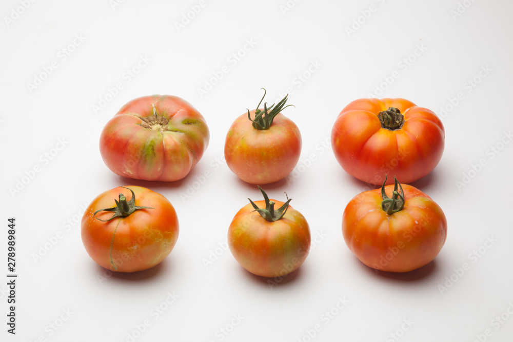 Tomates ecológicosrecien cogidos del campo, preparados para ser vendidos y comidos, Tomates ecológicosrecien cogidos del campo, preparados para ser vendidos y comidos,