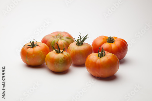 Saludables y bellos tomates  reci  n traidos del huerto para ser puestos en la mesa o en el mercado.