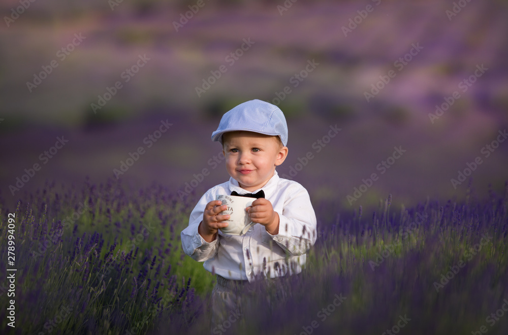 A small boy standing on a beautifully blooming lavender field A small boy standing on a beautifully blooming lavender field