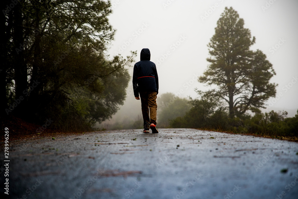 custom made wallpaper toronto digitalTeenager walking away from camera along foggy trail