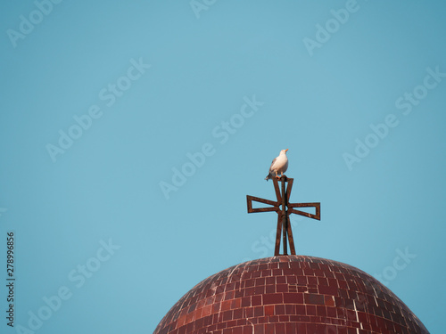 A bird standing above the church column in the city of Tangier