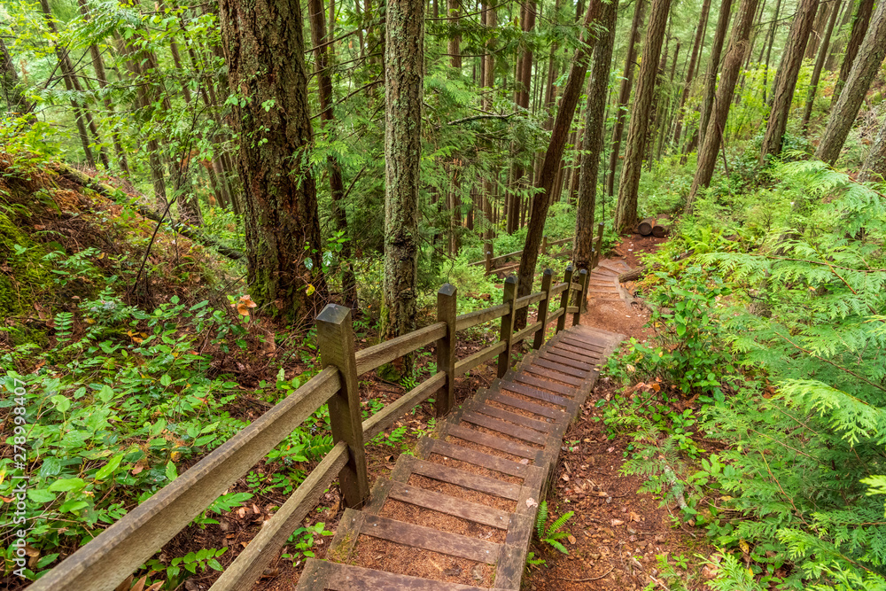Fototapeta premium View at Trail in Park in Vancouver, Canada.