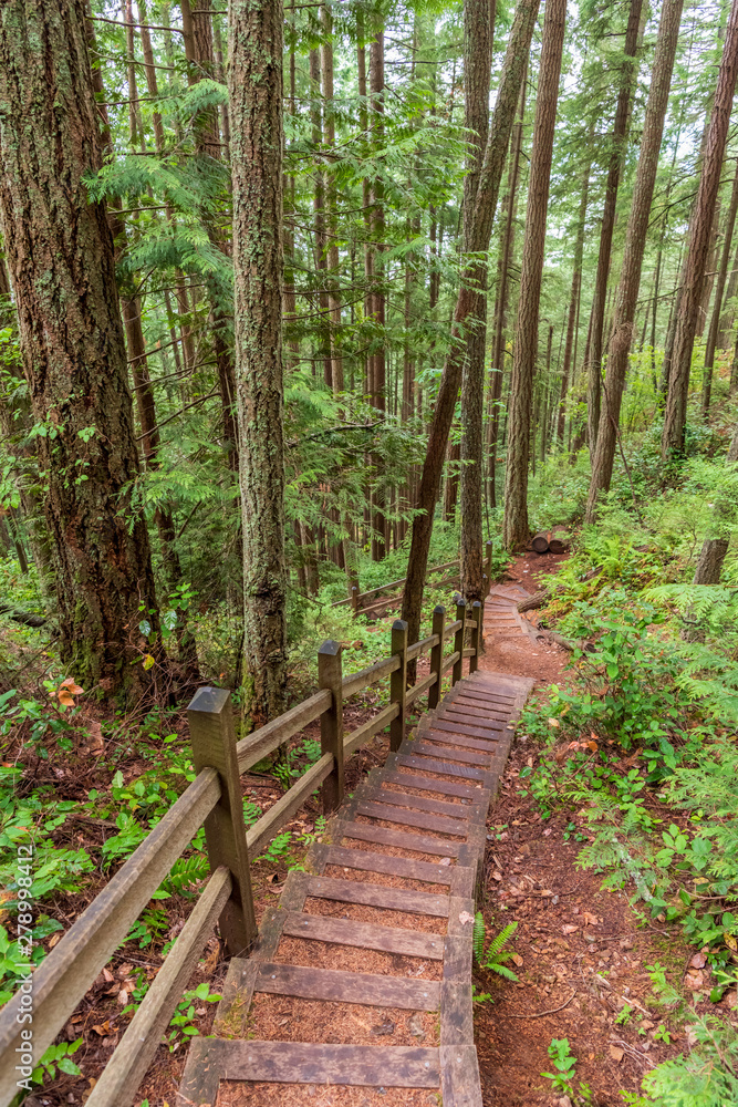 View at Trail in Park in Vancouver, Canada. View at Trail in Park in Vancouver, Canada.