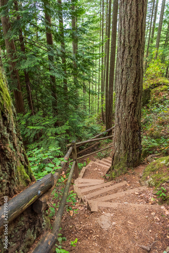 View at Trail in Park in Vancouver  Canada.