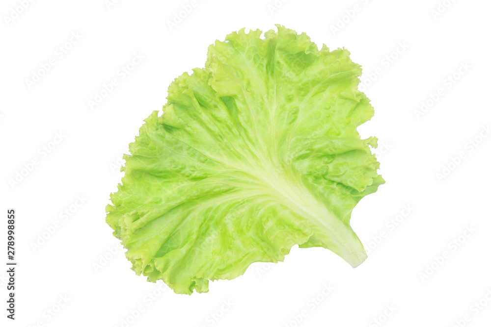 Salad leaf. Lettuce isolated on white background with clipping path. Salad leaf. Lettuce isolated on white background with clipping path.