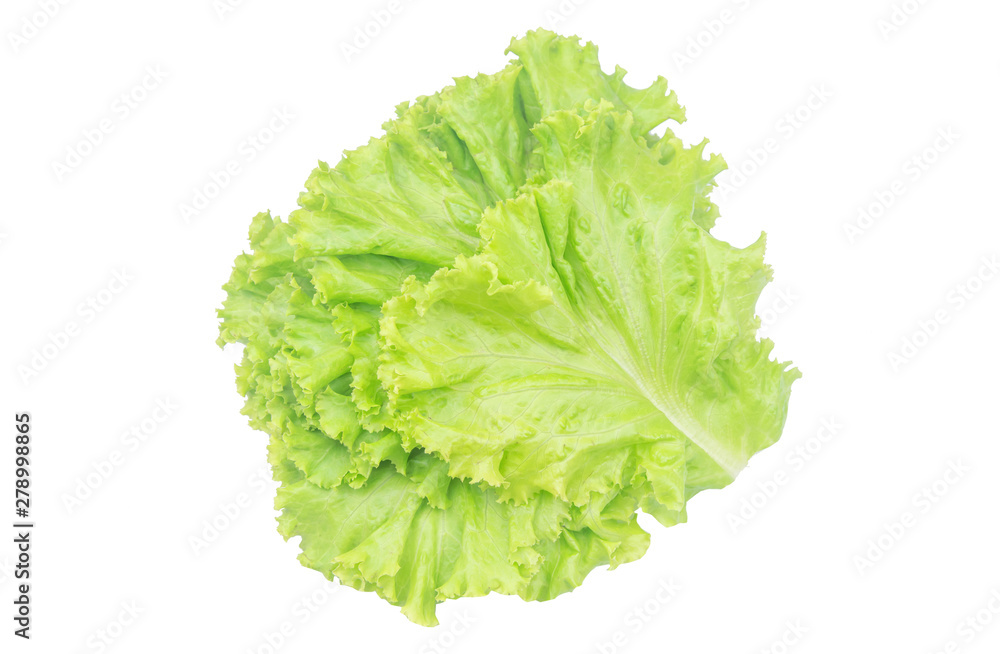 Salad leaf. Lettuce isolated on white background with clipping path. Salad leaf. Lettuce isolated on white background with clipping path.