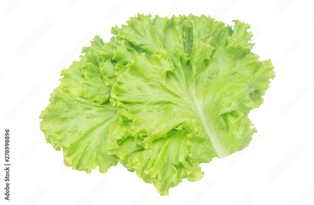 Salad leaf. Lettuce isolated on white background with clipping path. Salad leaf. Lettuce isolated on white background with clipping path.
