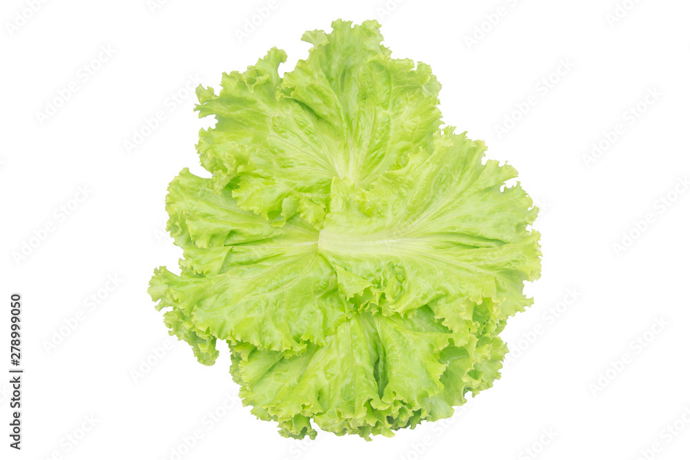 Salad leaf. Lettuce isolated on white background with clipping path. Salad leaf. Lettuce isolated on white background with clipping path.