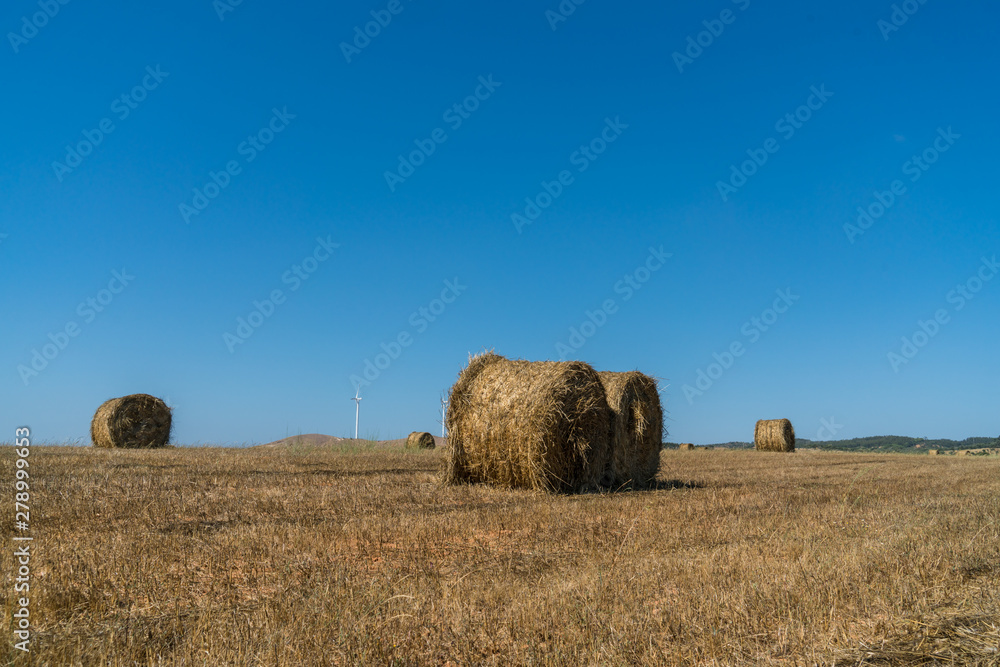 Big hay rolls on farm