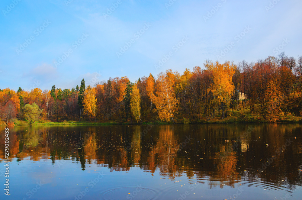 reflection of autumn trees in water