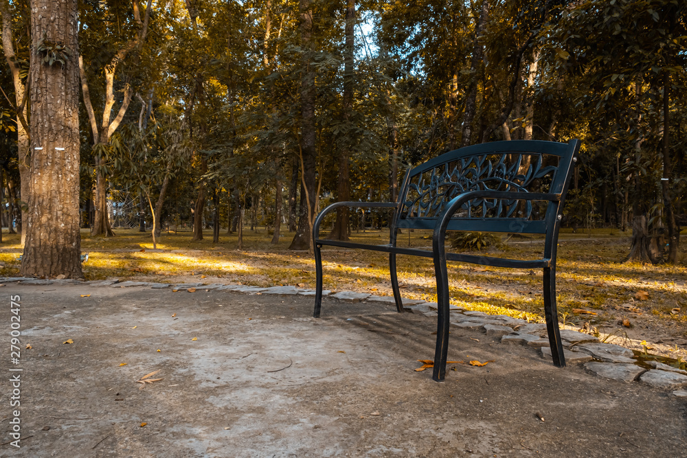 iron bench in the shady park iron bench in the shady park
