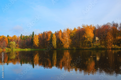 reflection of autumn trees in water