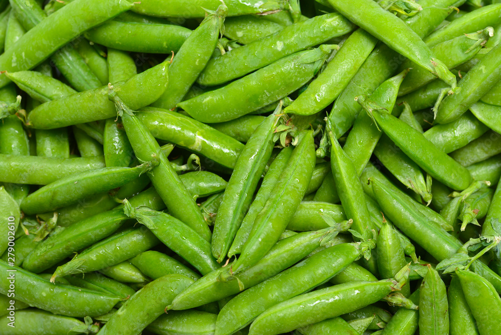 Fresh pea pods as background. Top view. Fresh pea pods as background. Top view.