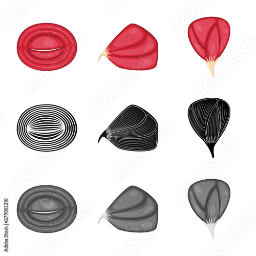 Isolated object of fiber and muscular logo. Collection of fiber and body vector icon for stock.