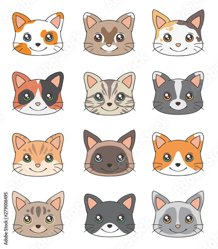Cute cartoon style head of different domestic cat breed vector drawings 