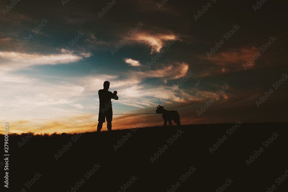 silhouette of man and dog on top of mountain