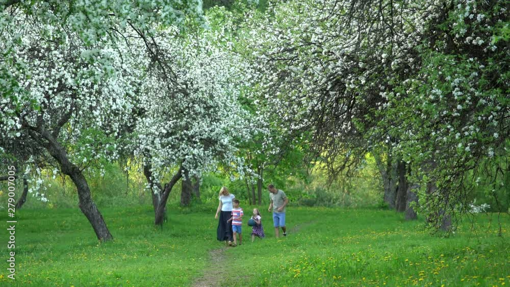 Active family parents with boy and girl play with ball in spring blooming garden Active family parents with boy and girl play with ball in spring blooming garden