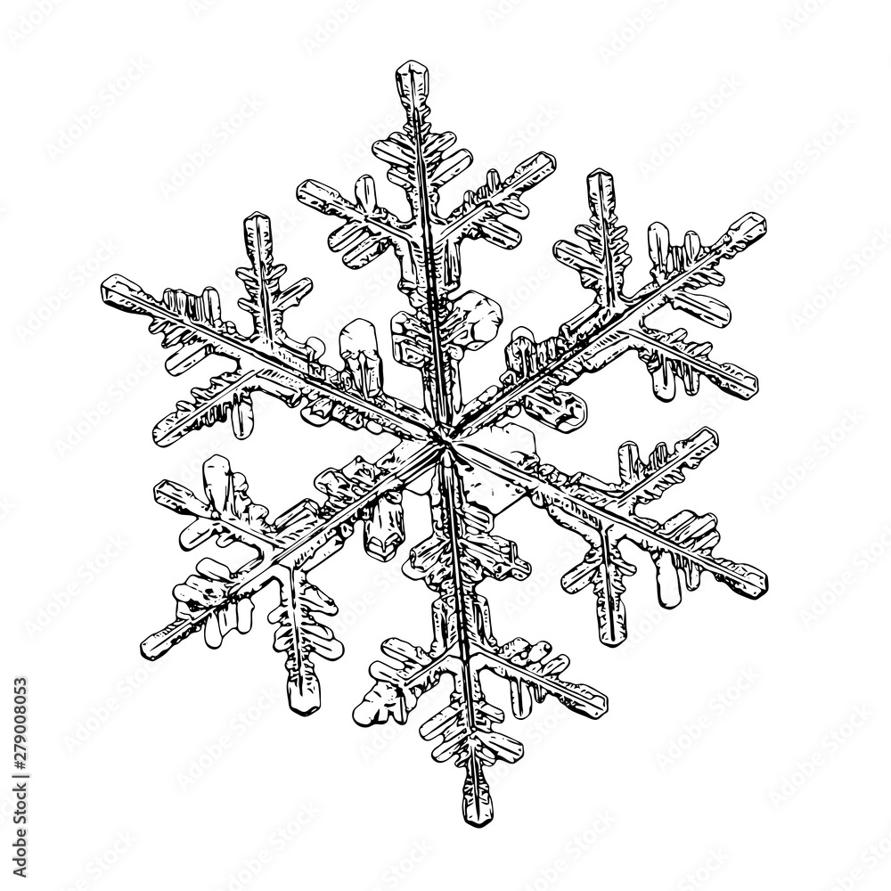 Snowflake isolated on white background. Illustration based on macro photo of real snow crystal: elegant stellar dendrite with fine hexagonal symmetry, complex inner details and six thin, ornate arms. Snowflake isolated on white background. Illustration based on macro photo of real snow crystal: elegant stellar dendrite with fine hexagonal symmetry, complex inner details and six thin, ornate arms.