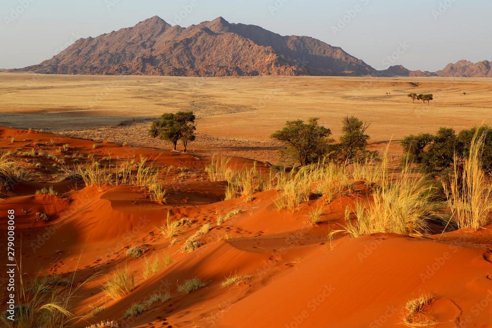 Namibia desert - obrazy, fototapety, plakaty 