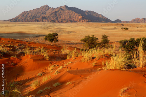 Namibia desert