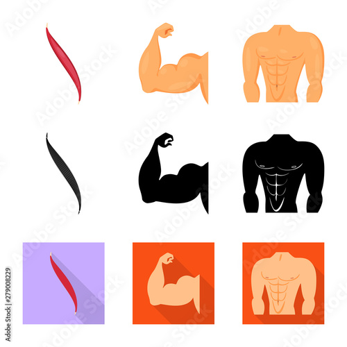 Isolated object of fiber and muscular sign. Collection of fiber and body vector icon for stock.