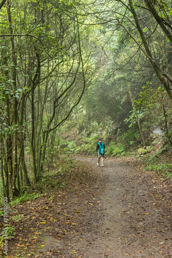 A young traveler in the relic forest. Slopes of the ancient Anaga mountain range on the island of Tenerife. Giant laurels and heather tree along narrow winding paths. Paradise for hiking. Canary. A young traveler in the relic forest. Slopes of the ancient Anaga mountain range on the island of Tenerife. Giant laurels and heather tree along narrow winding paths. Paradise for hiking. Canary.