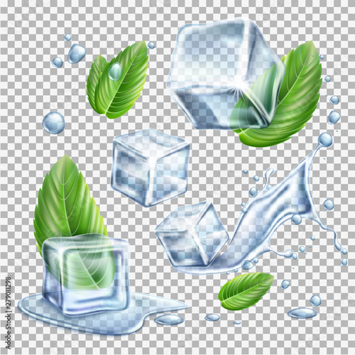 Vector realistic ice cubes mint green leaves set