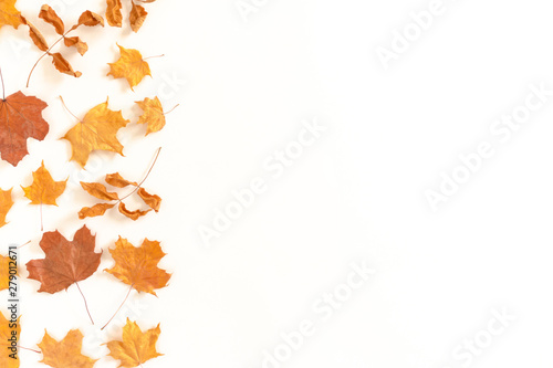 Border frame made of dried maple leaves on white background