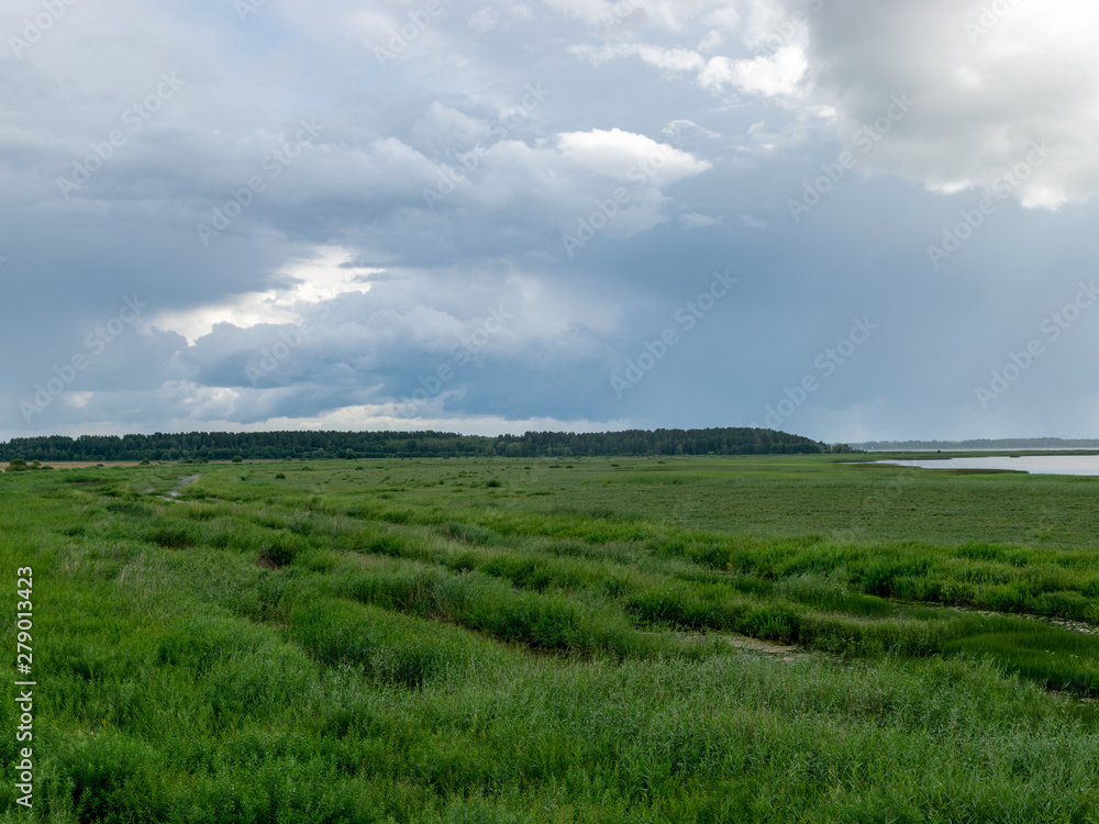 Peaceful beach dunegrass and storm clouds, reflections, Lake Burtnieks, Latvia