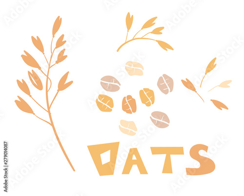 Cereal plants, agriculture industry organic crop products for oat groats flakes, oatmeal packaging design. A handful of oats seed. Template for banner, card, poster, print and other design projects.