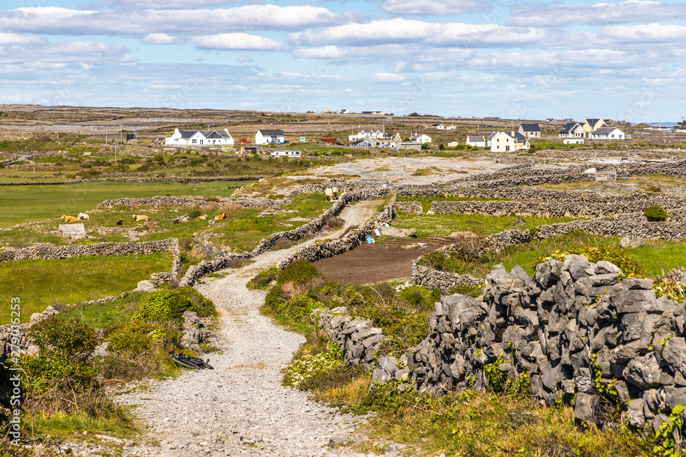 Road to the Village and farms in Inishmore