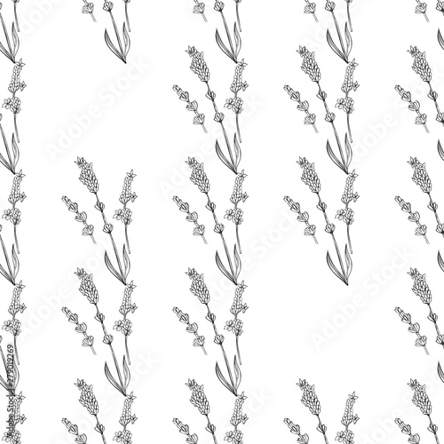 lavender natural hand drawn pattern white and black illustration. Herbal botanical  decoration background © WI-tuss
