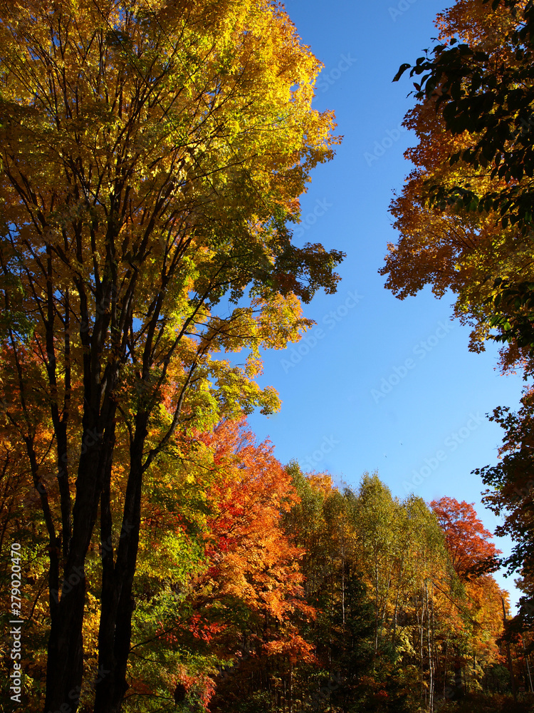 Fall scene off Highway 35 near Minden, Kwarthas, Ontario, Canada