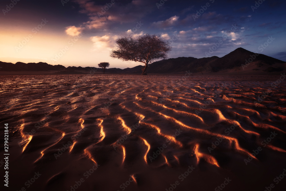 Fototapeta premium sunset in the desert