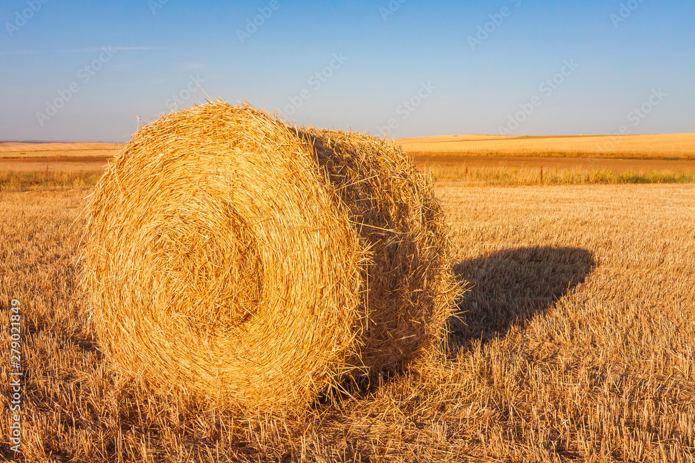 BALLOON OF STRAW PICKED ILLUMINATED BY THE SUN OF SUNSET IN FIELD OF SPAIN AND HORIZON OF HEAVEN AND FIELD