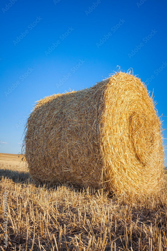 Ταπετσαρία BALLOON OF STRAW PICKLED ILLUMINATED BY THE SUN OF SUNSET AT FIELD OF SPAIN
