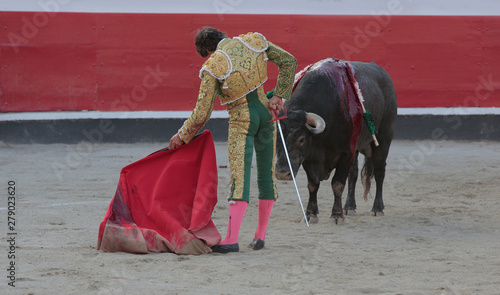 Bullfighter fighting a bull in the bullring