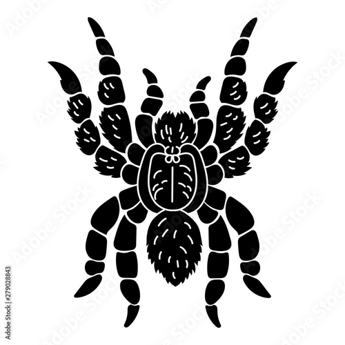 Tarantula icon. Simple illustration of tarantula vector icon for web design isolated on white background