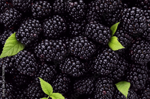 Tasty ripe fresh blackberries with leaves as background, closeup view photo