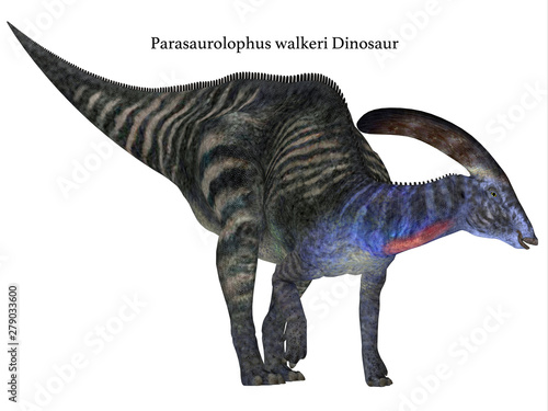 Parasaurolophus Dinosaur with Font - Parasaurolophus with a cranial crest was a herbivorous Hadrosaur dinosaur that lived in North America during the Cretaceous Period. © Catmando